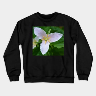 Easter Lily or Trillium Crewneck Sweatshirt